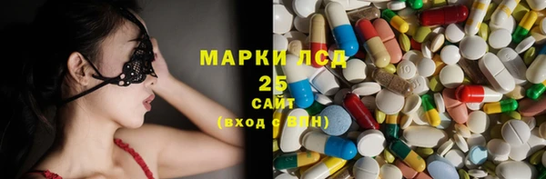 ешки Аркадак
