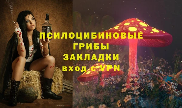 ешки Аркадак