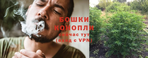 ешки Аркадак