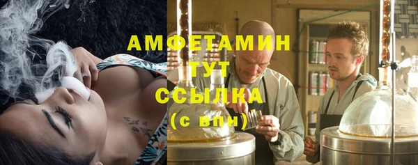 ешки Аркадак
