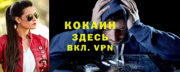 ешки Аркадак