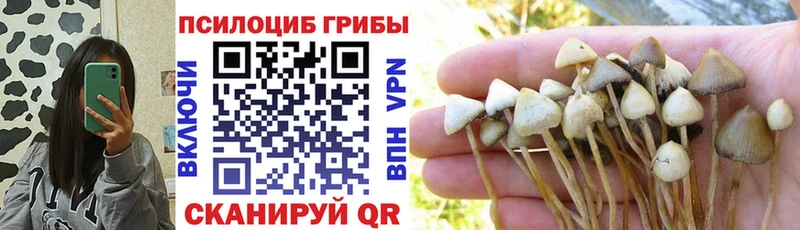 наркошоп  Миллерово  Галлюциногенные грибы Cubensis 