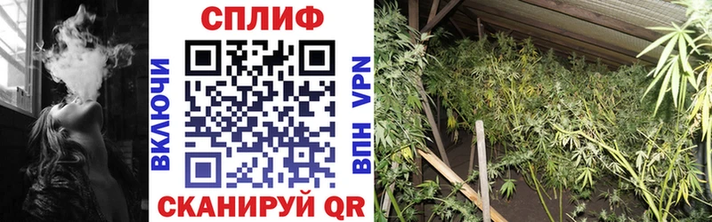 где продают наркотики  Миллерово  OMG ТОР  Бошки Шишки планчик 